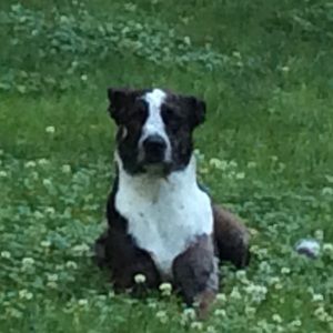 Meet your Posher, Allanah